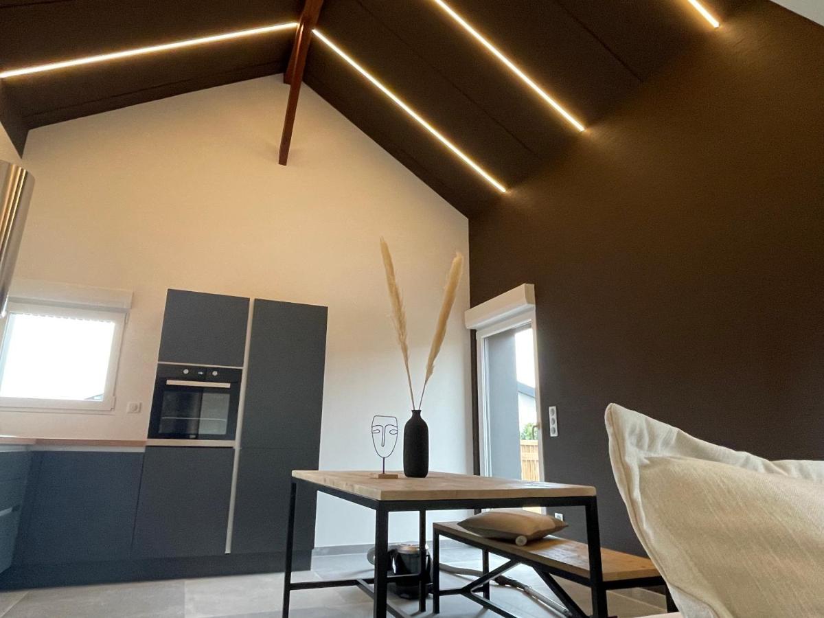 Gite Spa L'Atelier Emile - Spa Privatif - 5 Min Colmar Sainte-Croix-en-Plaine 외부 사진